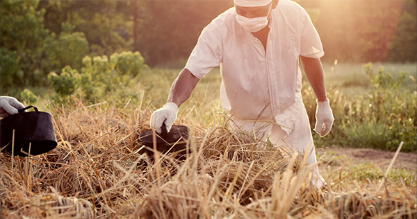 珍珠红工艺 (10).png